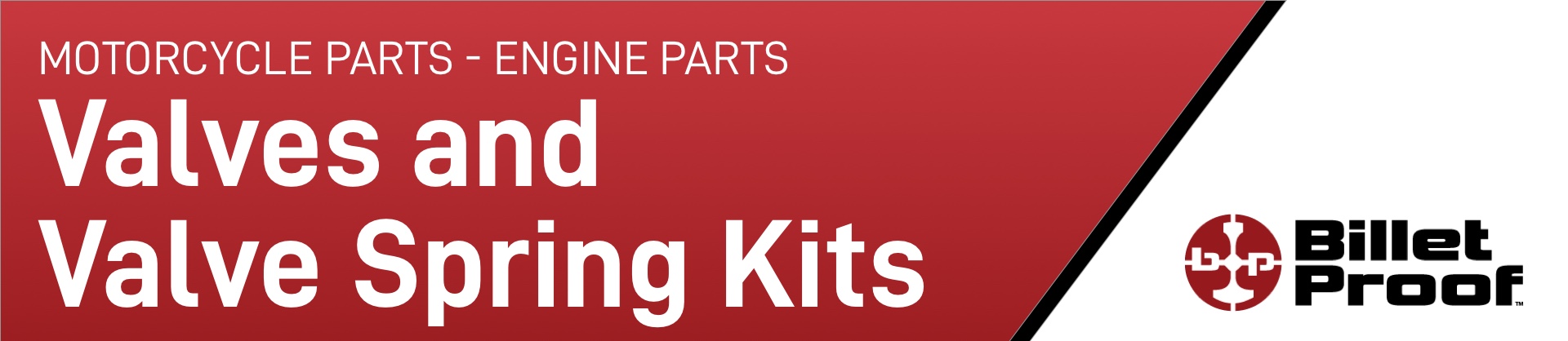 motorcycle-parts-engine-parts-valves-and-valve-spring-kits.jpg